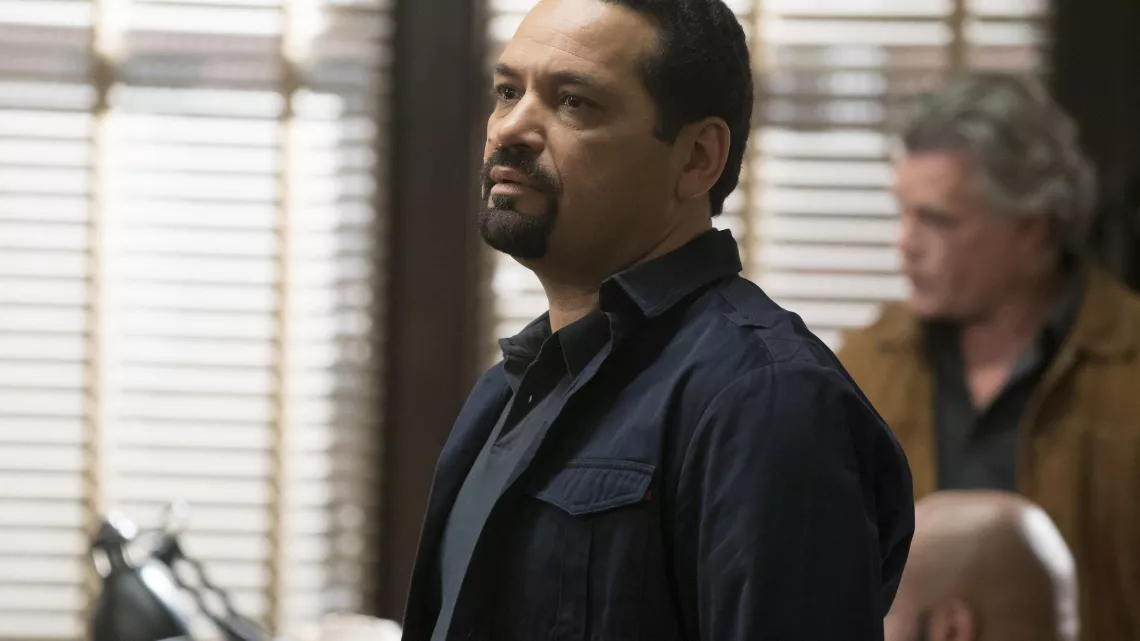 SHADES OF BLUE SAISON 2