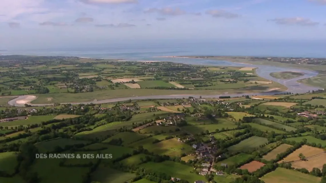 Cotentin