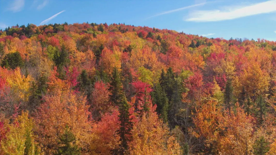 Saint Laurent, dans le sillage de Jacques Cartier