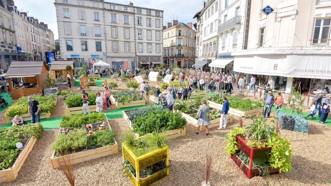 le potager de Toques et porcelaine 