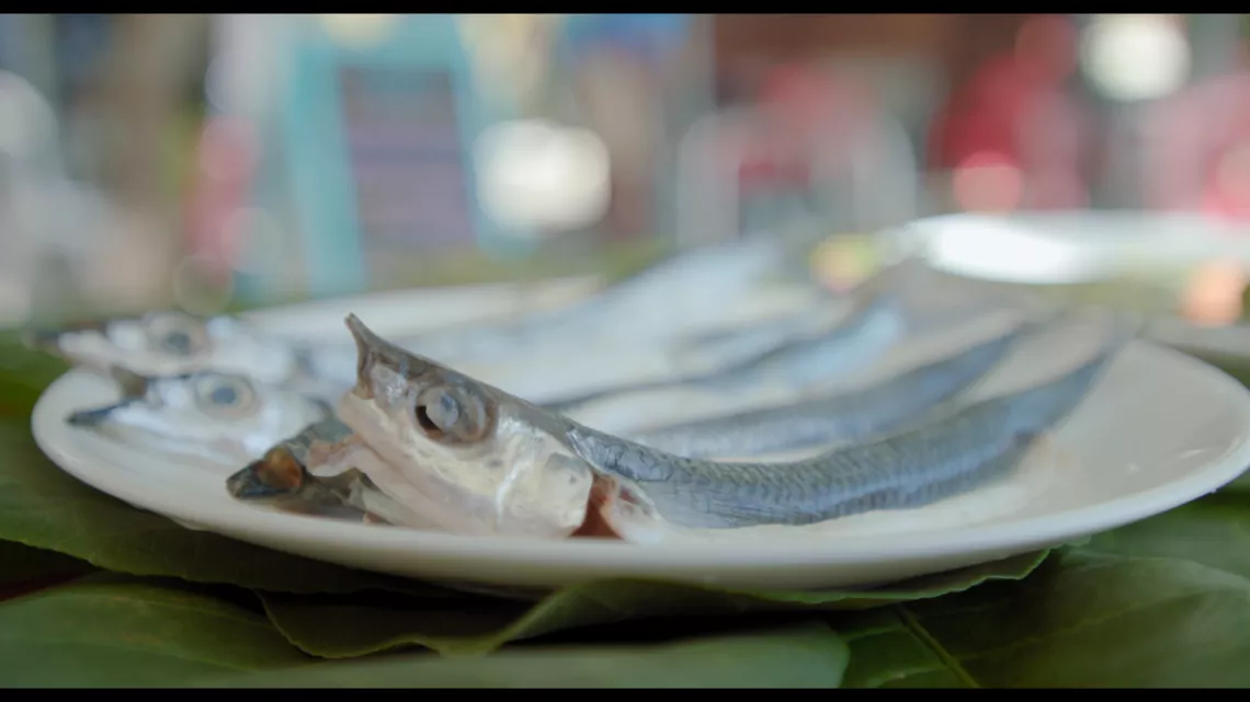 Côté Mer : de la mer à l’assiette