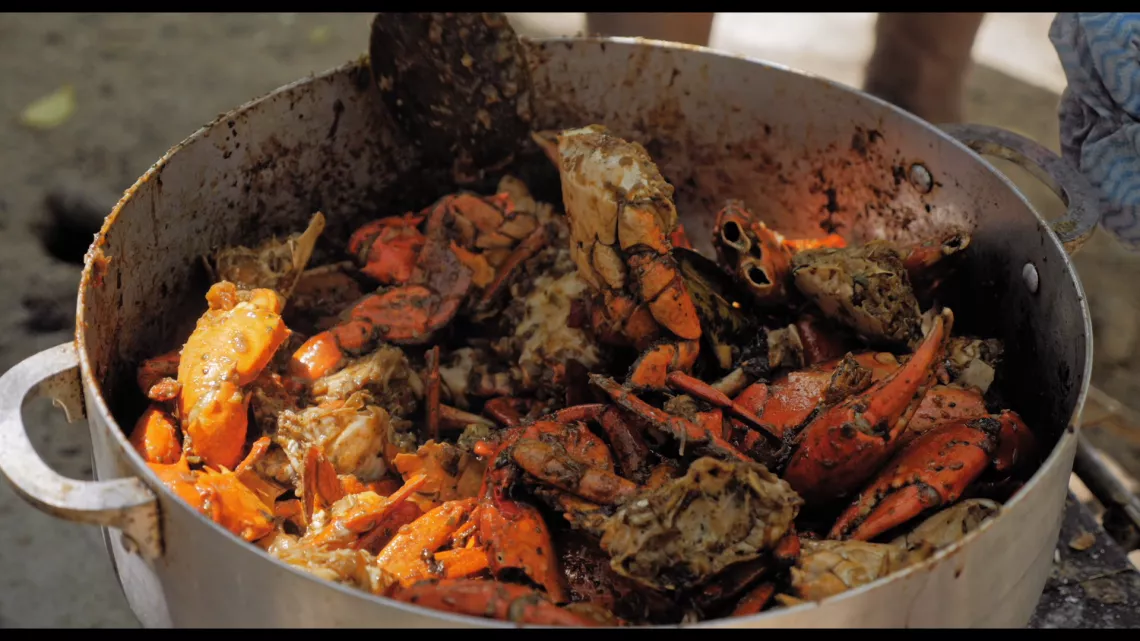 Côté Mer : de la mer à l’assiette