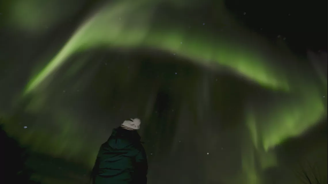 aurore