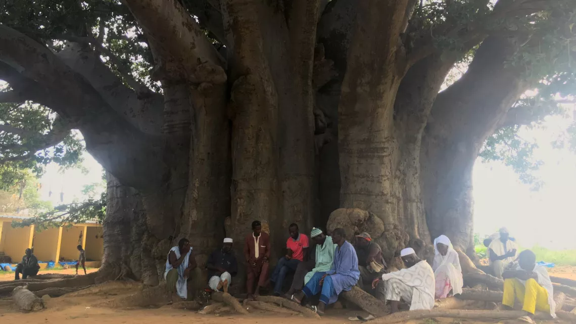 ECHAPPEES BELLES - SENEGAL, au rythme du fleuve