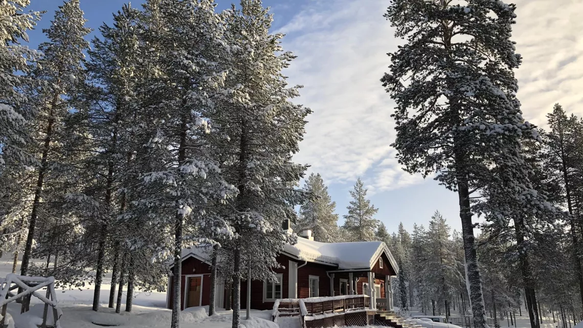 ECHAPPEES BELLES - FINLANDE