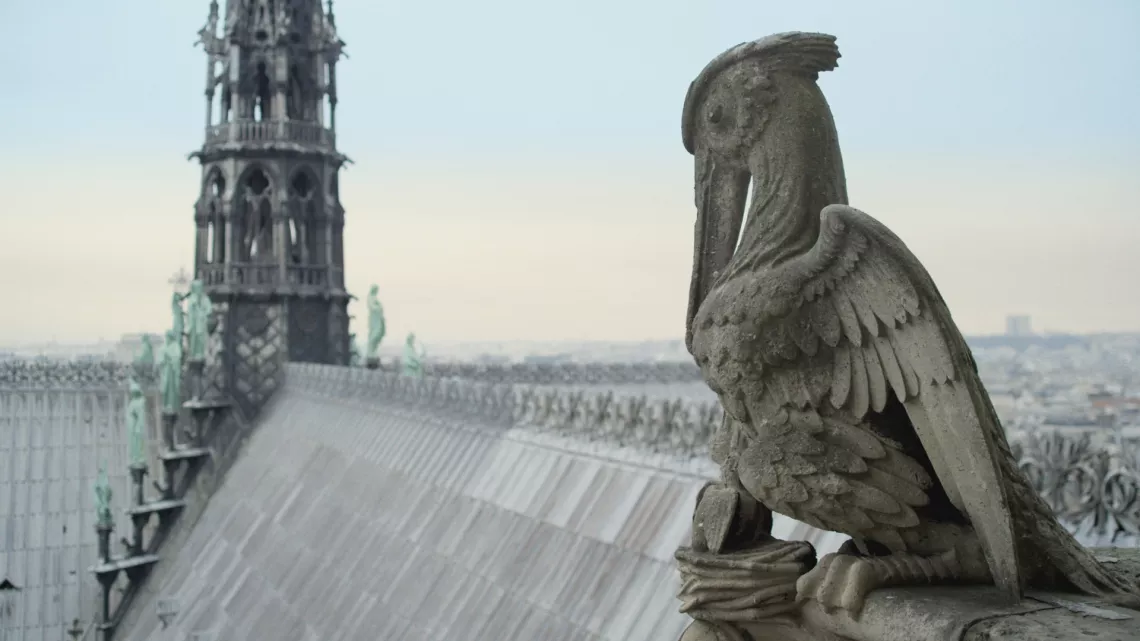 notre dame