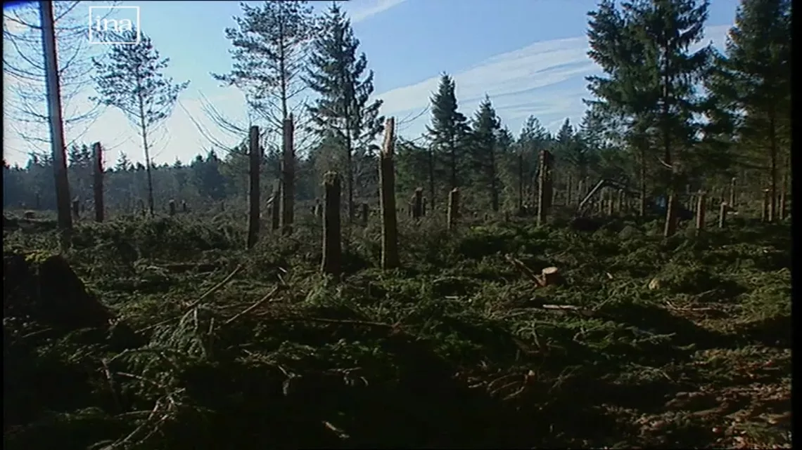 la tempête du siècle 