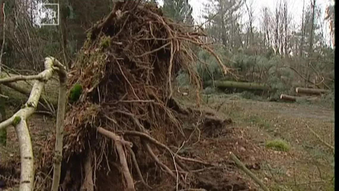 la tempête du siècle 