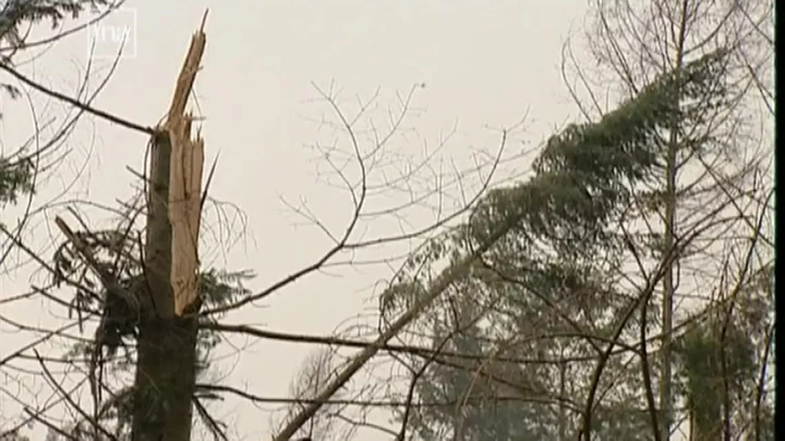 la tempête du siècle 