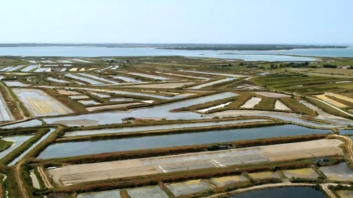 Ile de Ré