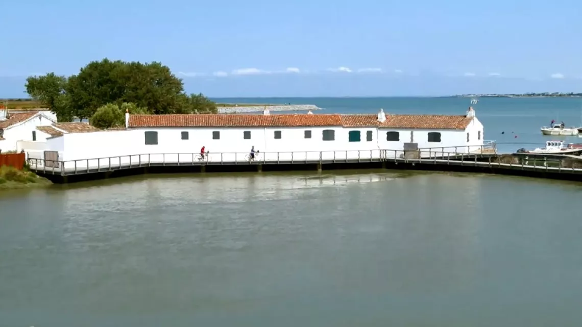Ile de Ré