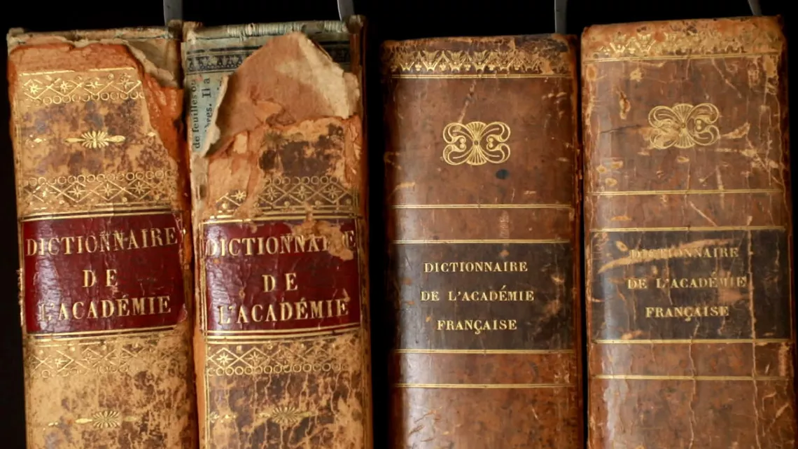 ACADÉMIE FRANÇAISE: VOYAGE AU PAYS DES IMMORTELS