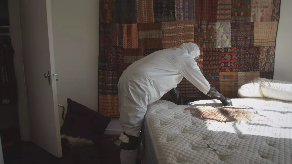 THE CLEANER