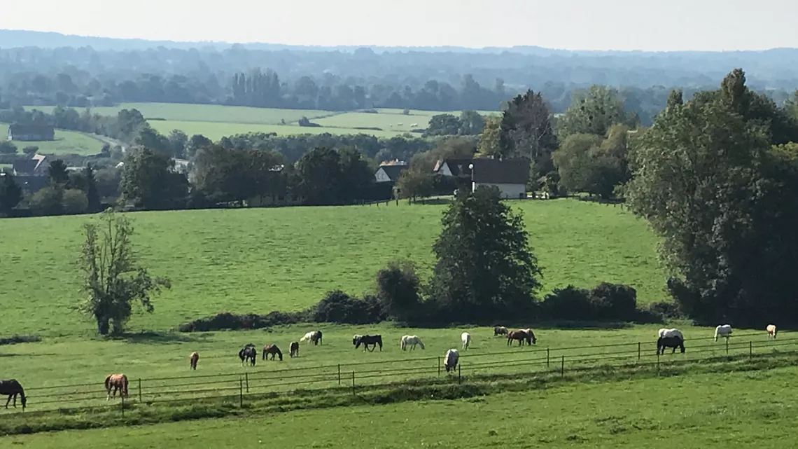 Photo Les écuries de Lisors