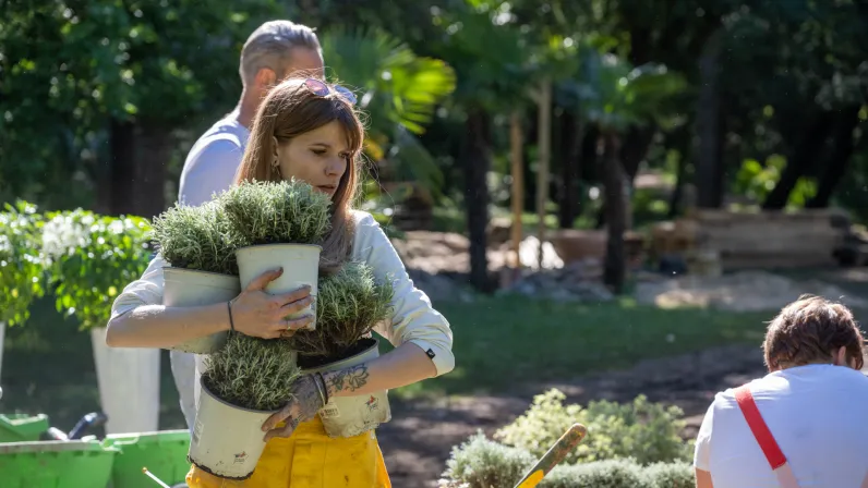 Les As du Jardin - Saison 2 