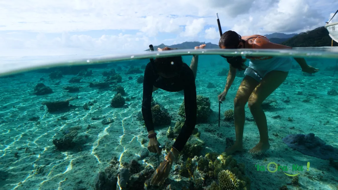 05EP 'IA ORA NA - PECHE Photo04.PNG