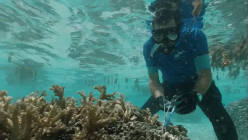 Bora Bora, le laboratoire du futur