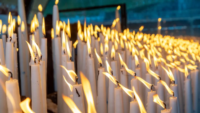 La visite du Pape à Lourdes