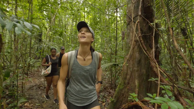 Les plus beaux treks : Guyane