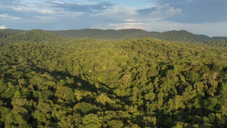 Les plus beaux treks : Guyane