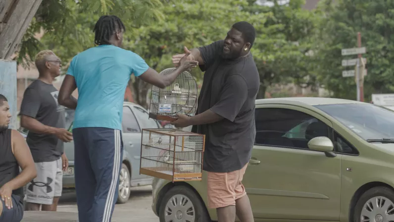 L’oiseau qui chante à l’oreille des hommes ©Paramonti Productions