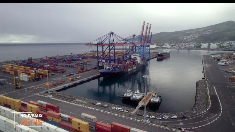 Les Nouveaux Défis, votre rendez-vous avec l’économie de l'île sur Réunion la 1ère : Best of 2025