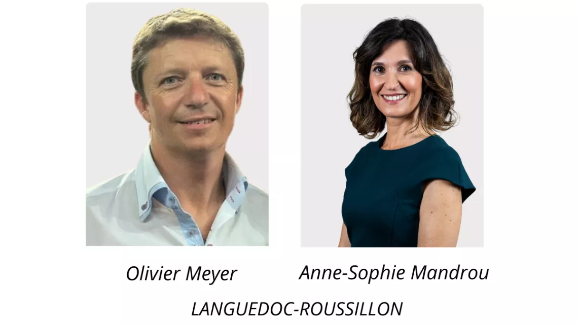 journalistes languedoc