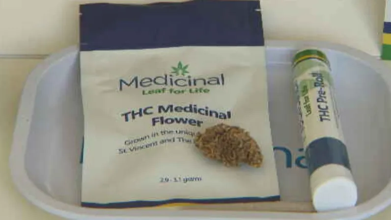 Caraïbes, le mensuel : Focus sur le business du cannabis