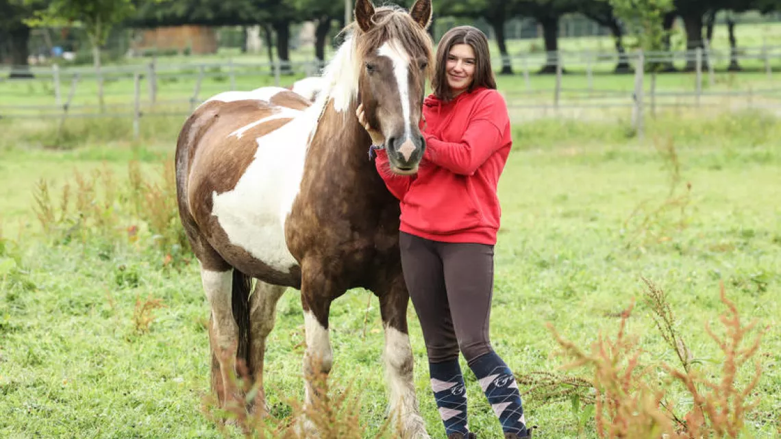 Au galop ! saison 2