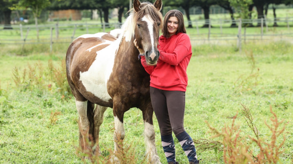Au galop ! Une saison à cheval | FranceTvPro.fr