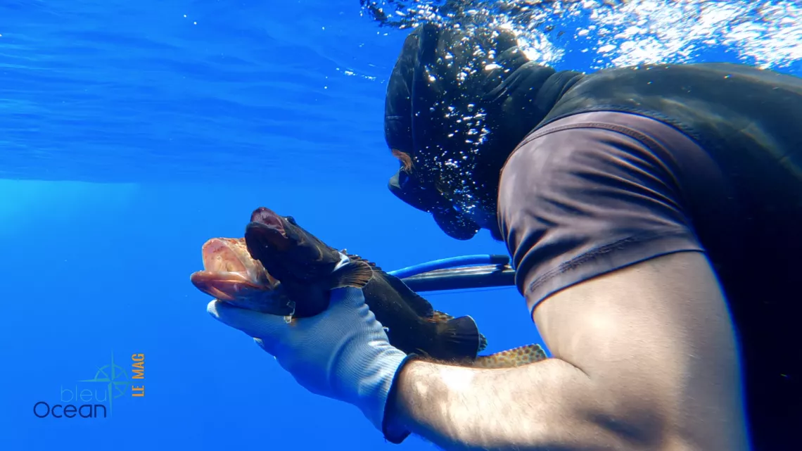 Bleu océan le mag - Rurutu de mer et de bois