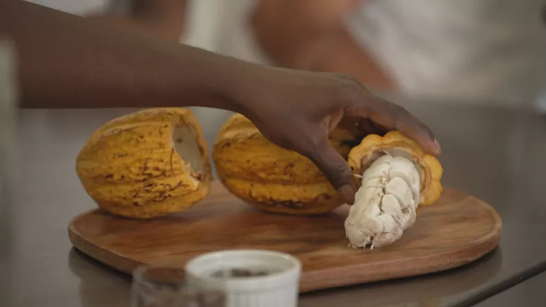 Guadeloupe, graines d'avenir