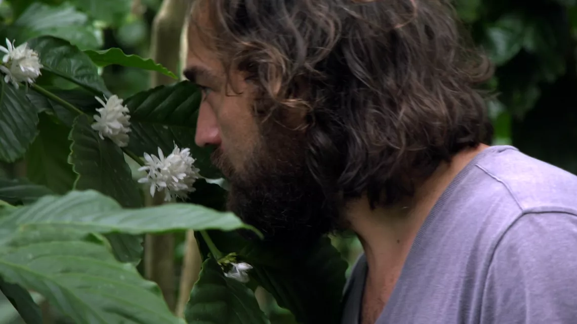 Café calédonien : l’alchimie d’un pays