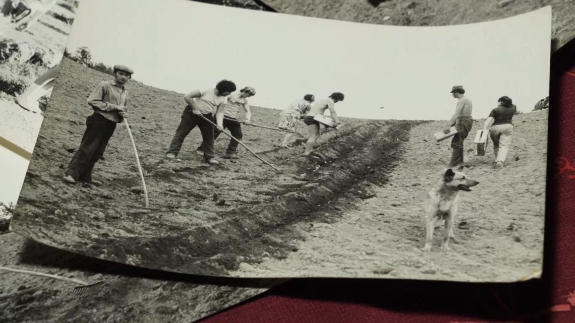 Le Morvan des Petits Paris