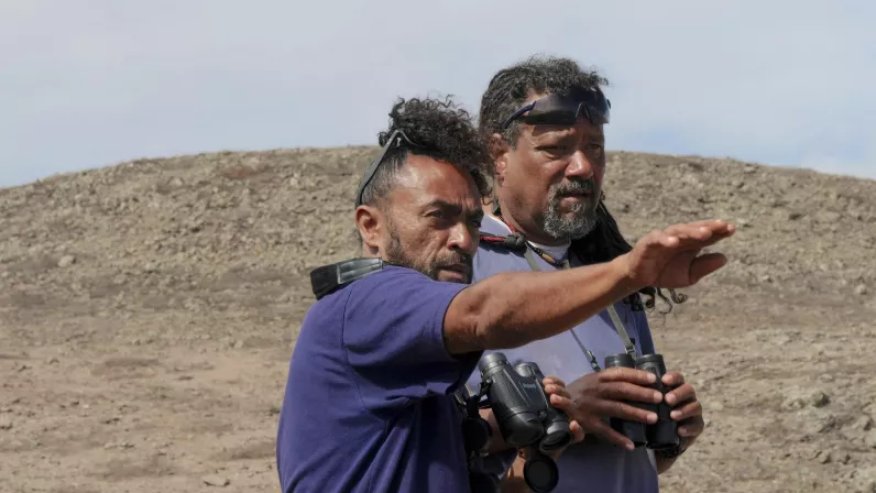 Sainte-Hélène, bastion de la biodiversité - Equipe Pluvier_Remi Demarthon
