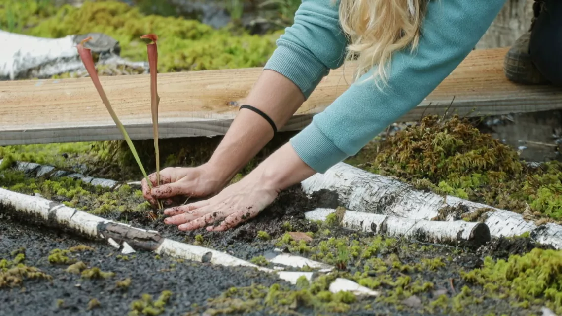 Le printemps des jardiniers