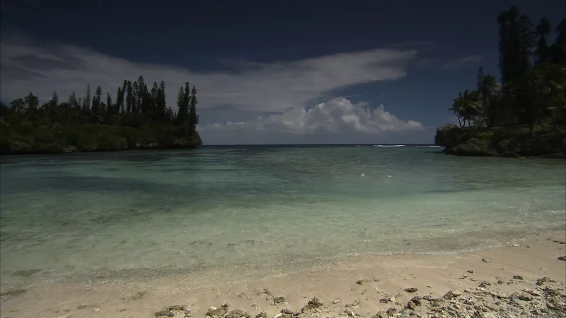 La monique, une blessure calédonienne