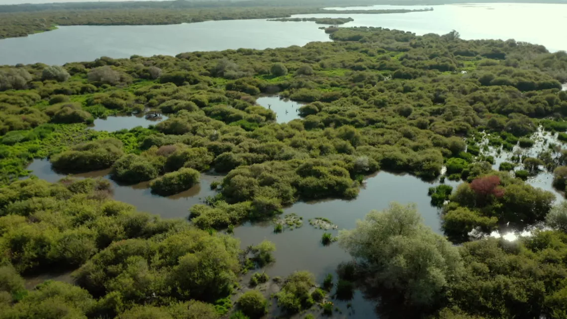 Loire Terre Sauvage  © Nomades TV