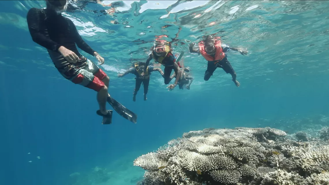 Les engagés de l’île aux parfums © La Cerise sur le Gâteau Prod