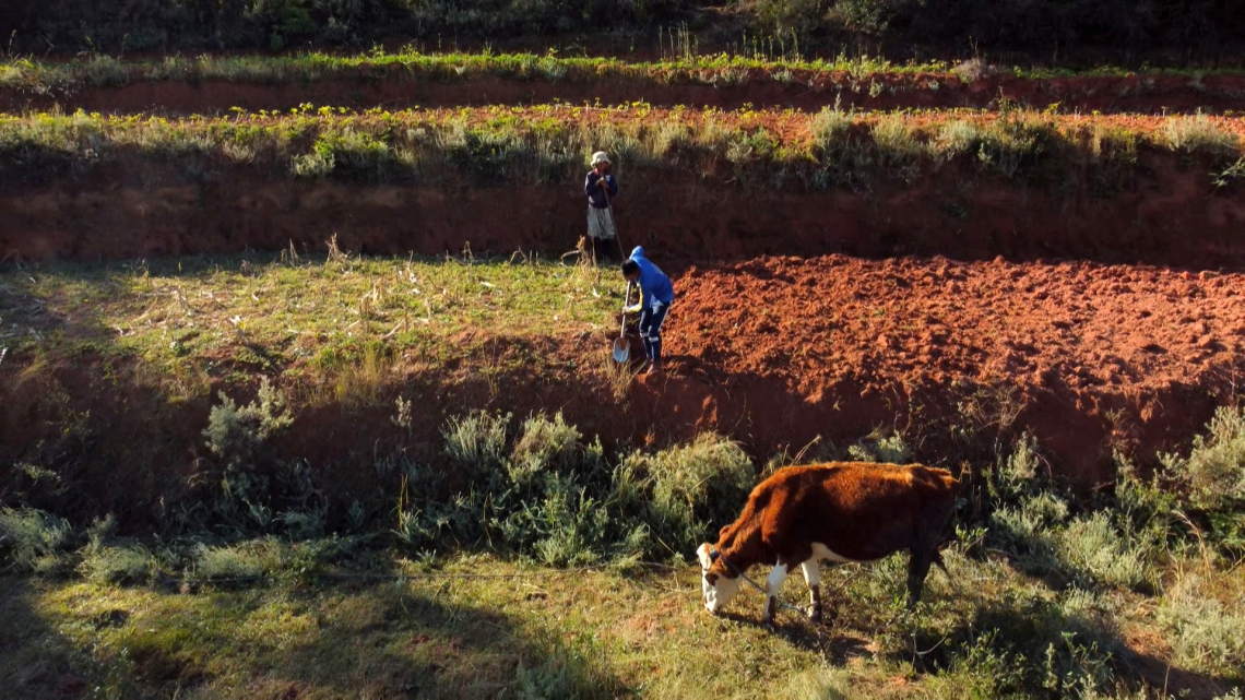 A Madagascar, au cœur de l’Océan Indien, la terre est sacrée. Pour assurer une volonté partagée de vivre ensemble, la population mesure l’importance de sécuriser ses terres par un droit de propriété. 