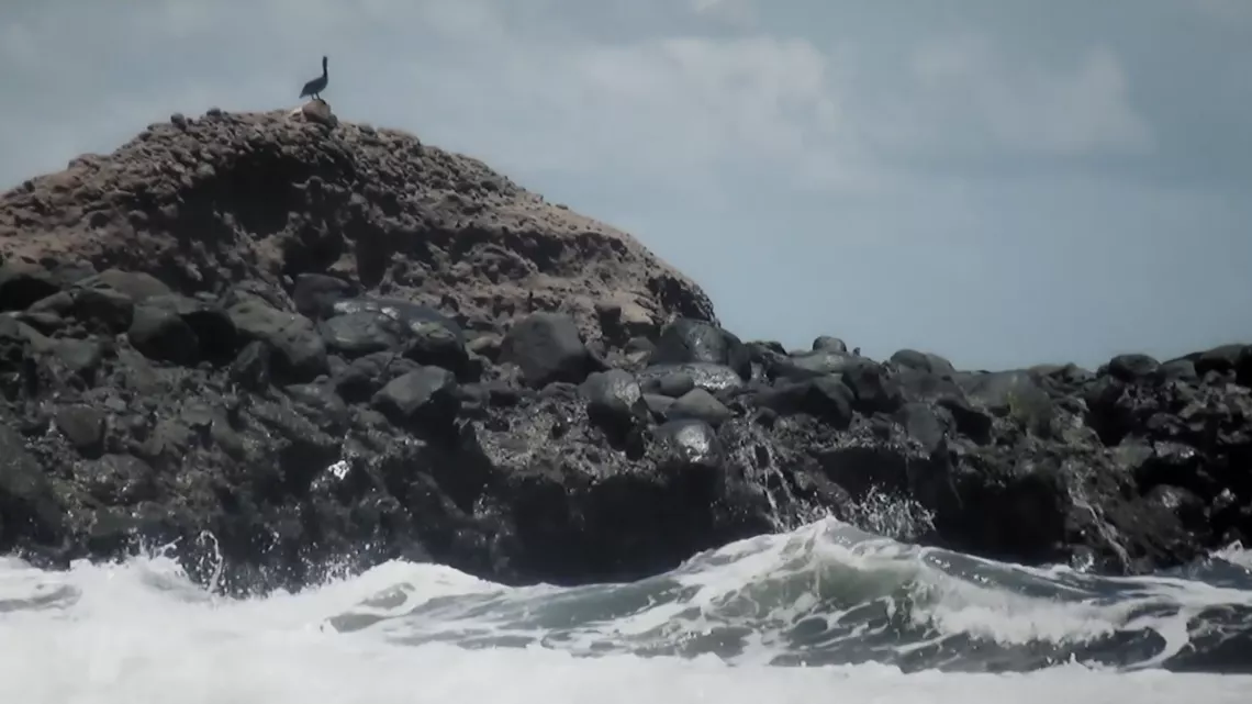 Documentaire  : Monchoachi, la parole sovaj : mer