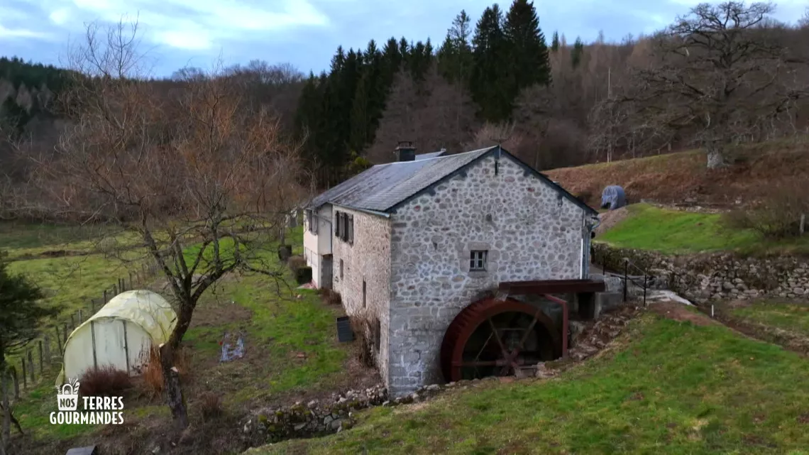Nos terres gourmandes : Morvan