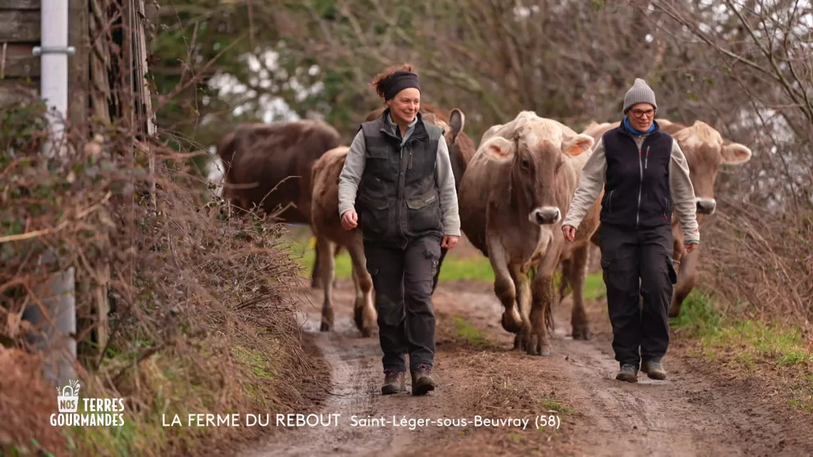 Nos terres gourmandes : Morvan