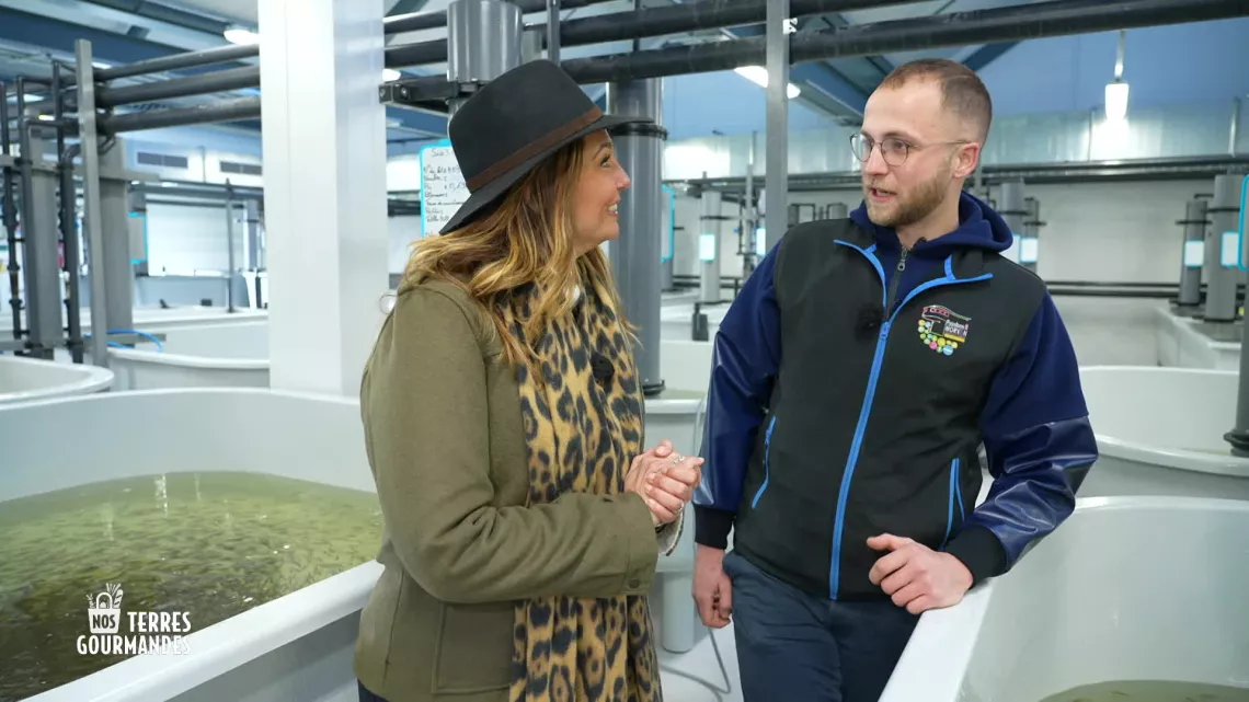 Nos terres gourmandes : Morvan