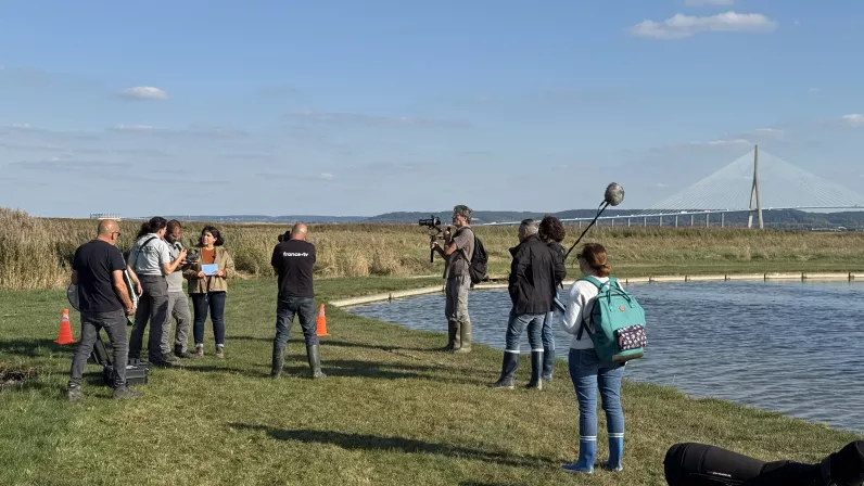 Safari dans l'Estuaire - drone