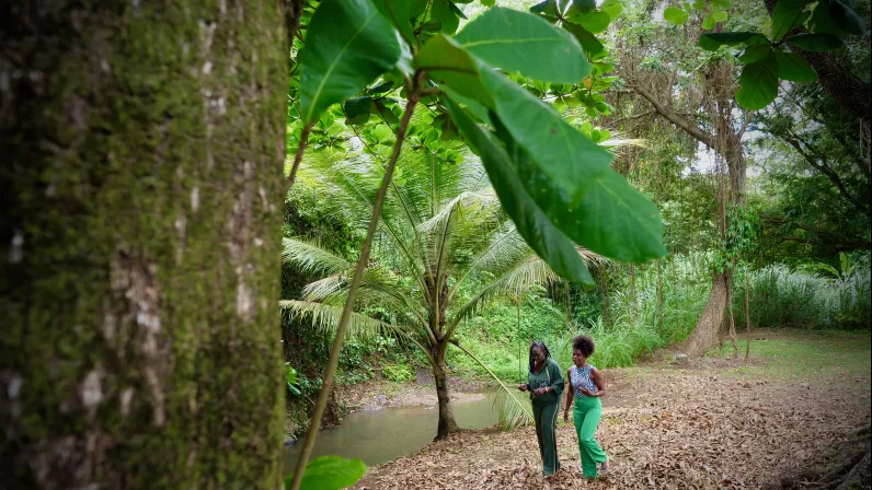 Ziétaj avec Daniely Francisque