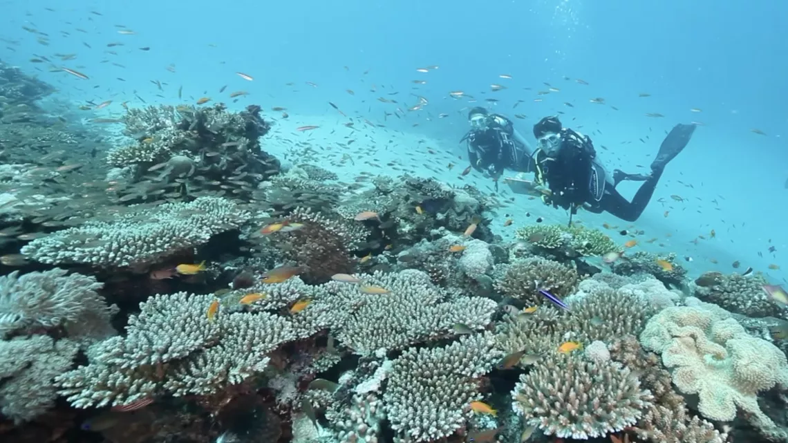 Pascale Chabanet, la compteuse de poissons
