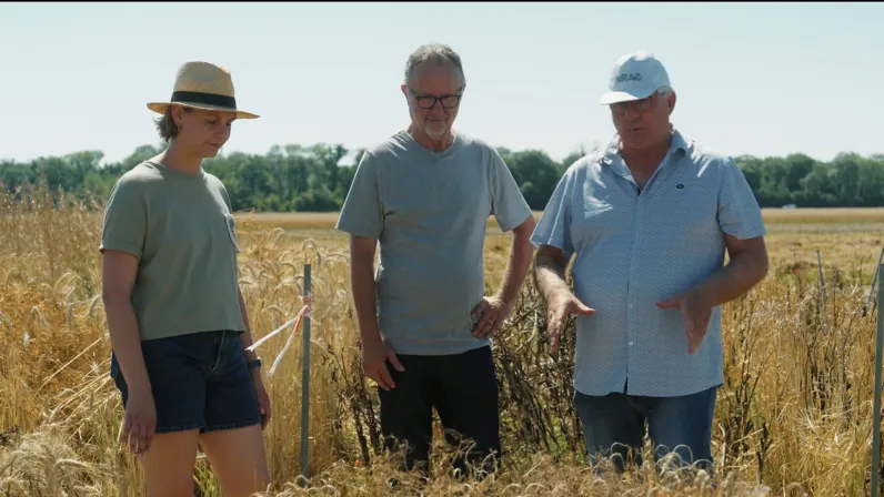Le monde (presque) après