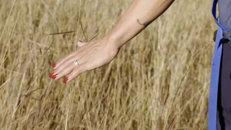 « Reines de Mafate, du marronnage à nos jours » dessine le portrait de femmes, avec leurs forces, leurs combats et leurs idées tout en racontant les origines et la culture d’une communauté. 
