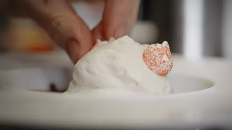 *Succulent ! Le houblon